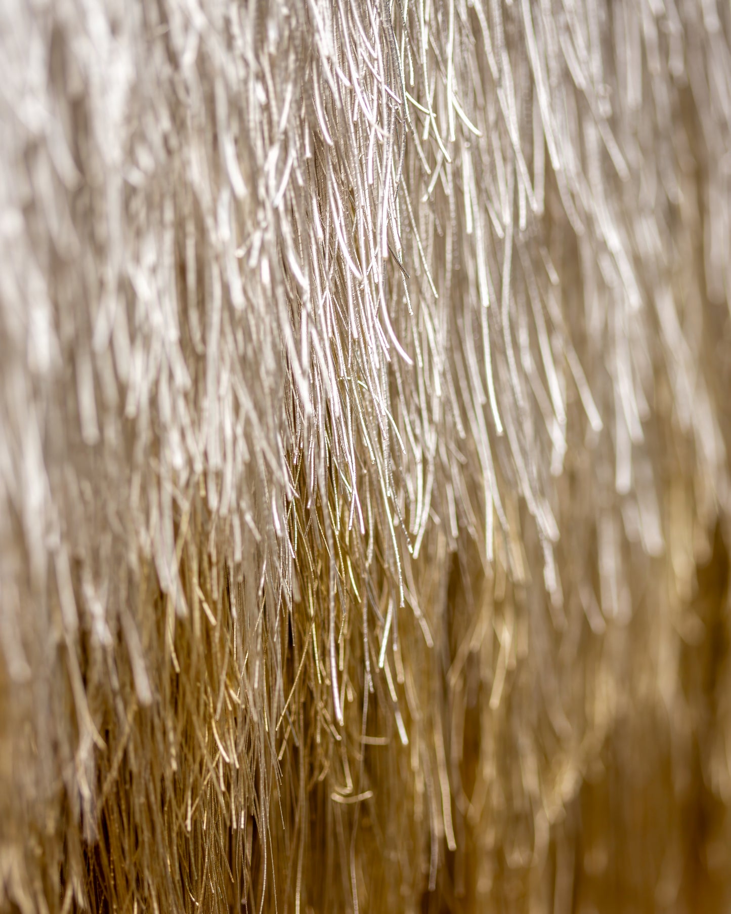 Nishijin Thread Study